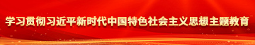 男人透女人播放器免费软件学习贯彻习近平新时代中国特色社会主义思想主题教育